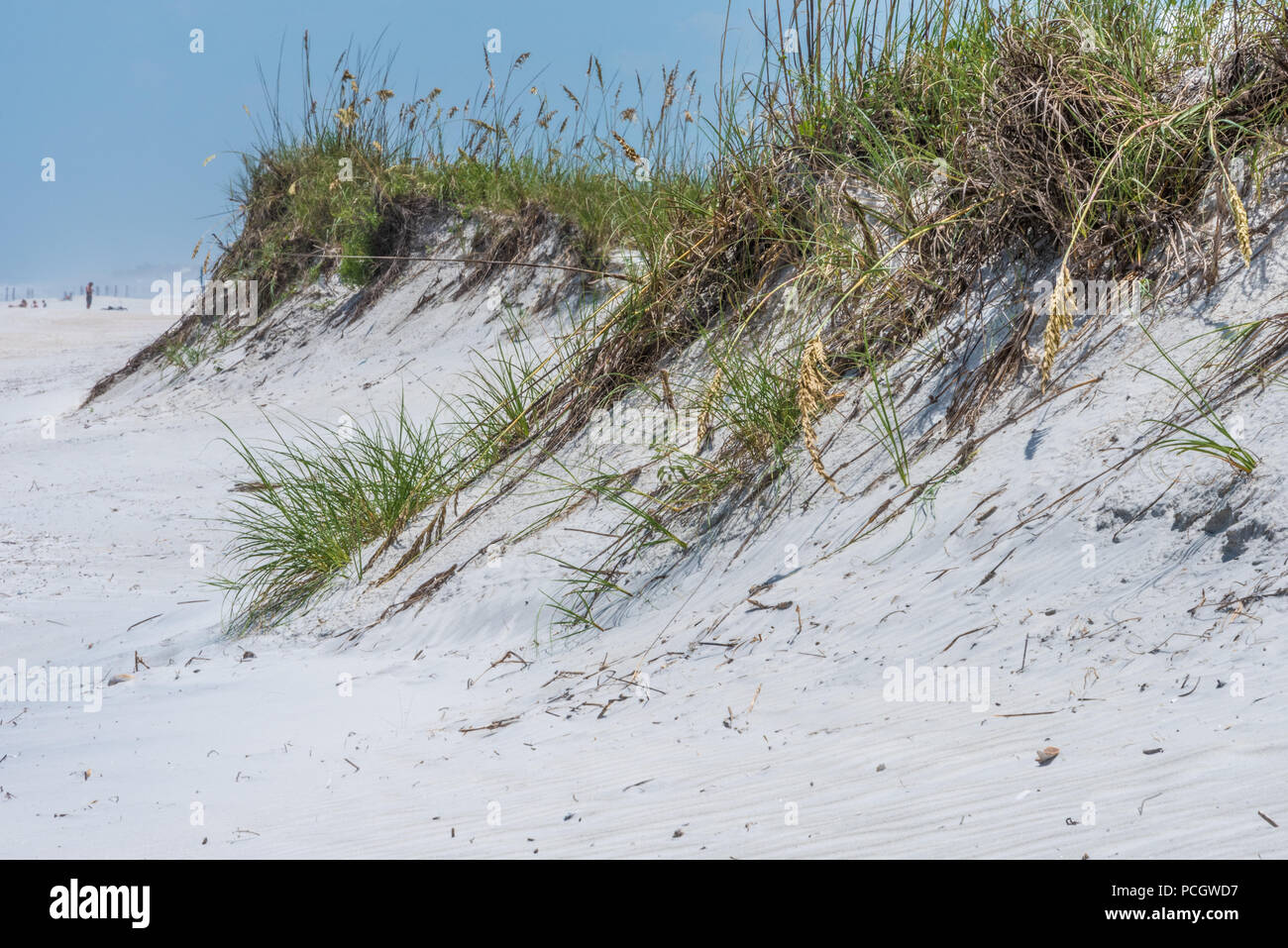 Spiaggia di sabbia bianca le dune a Jacksonville Beach, Florida. (USA) Foto Stock