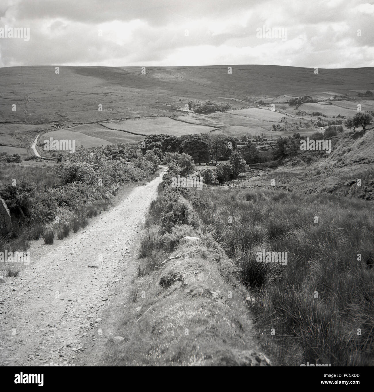 Degli anni Cinquanta, storico, una stretta ghiaia agriturismo via o il percorso in campagna sulla Causeway percorso costiero, un luogo di grande bellezza naturale di laminazione glens e drammatici della linea costiera. Foto Stock