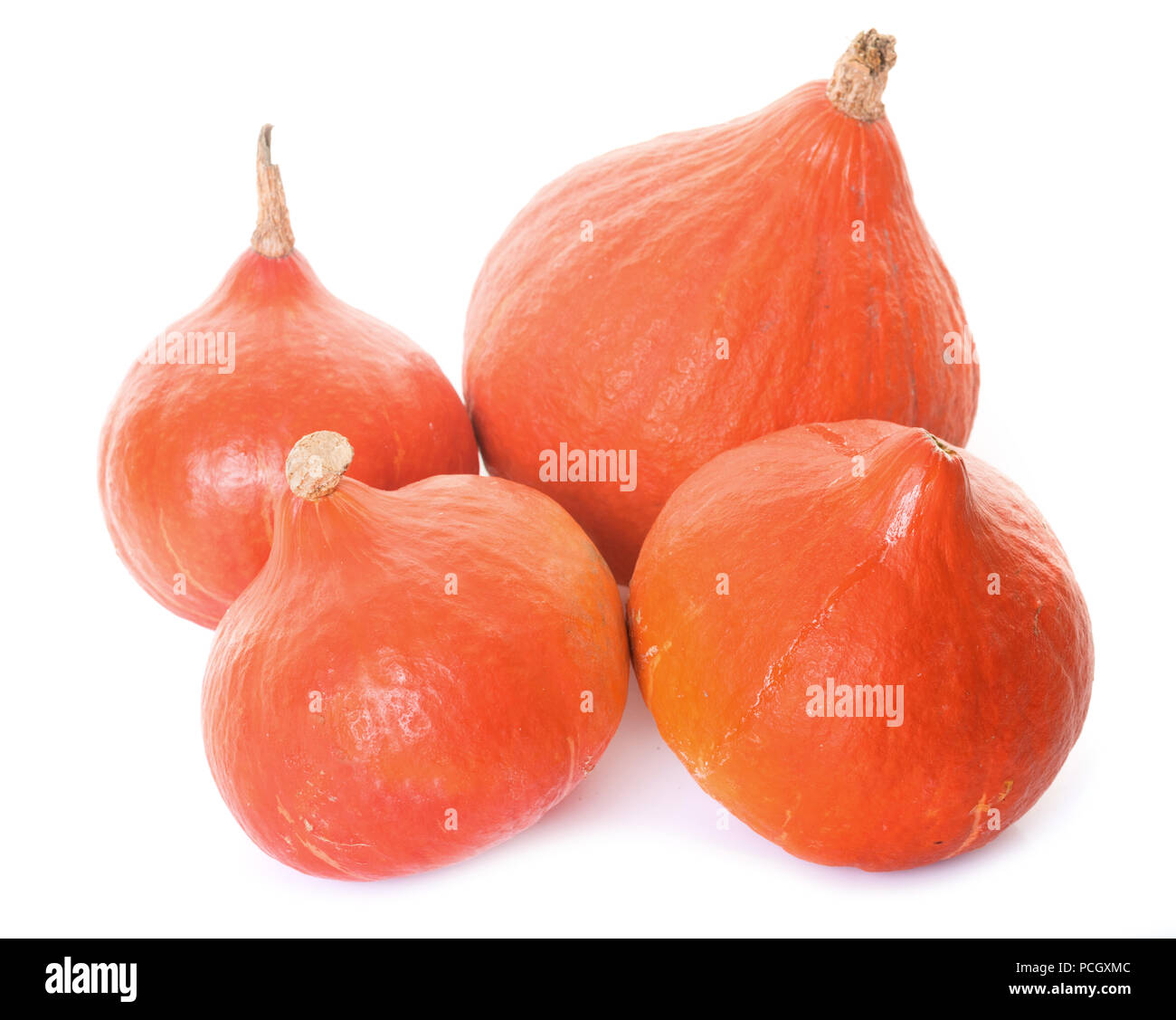 Red kuri squash davanti a uno sfondo bianco Foto Stock