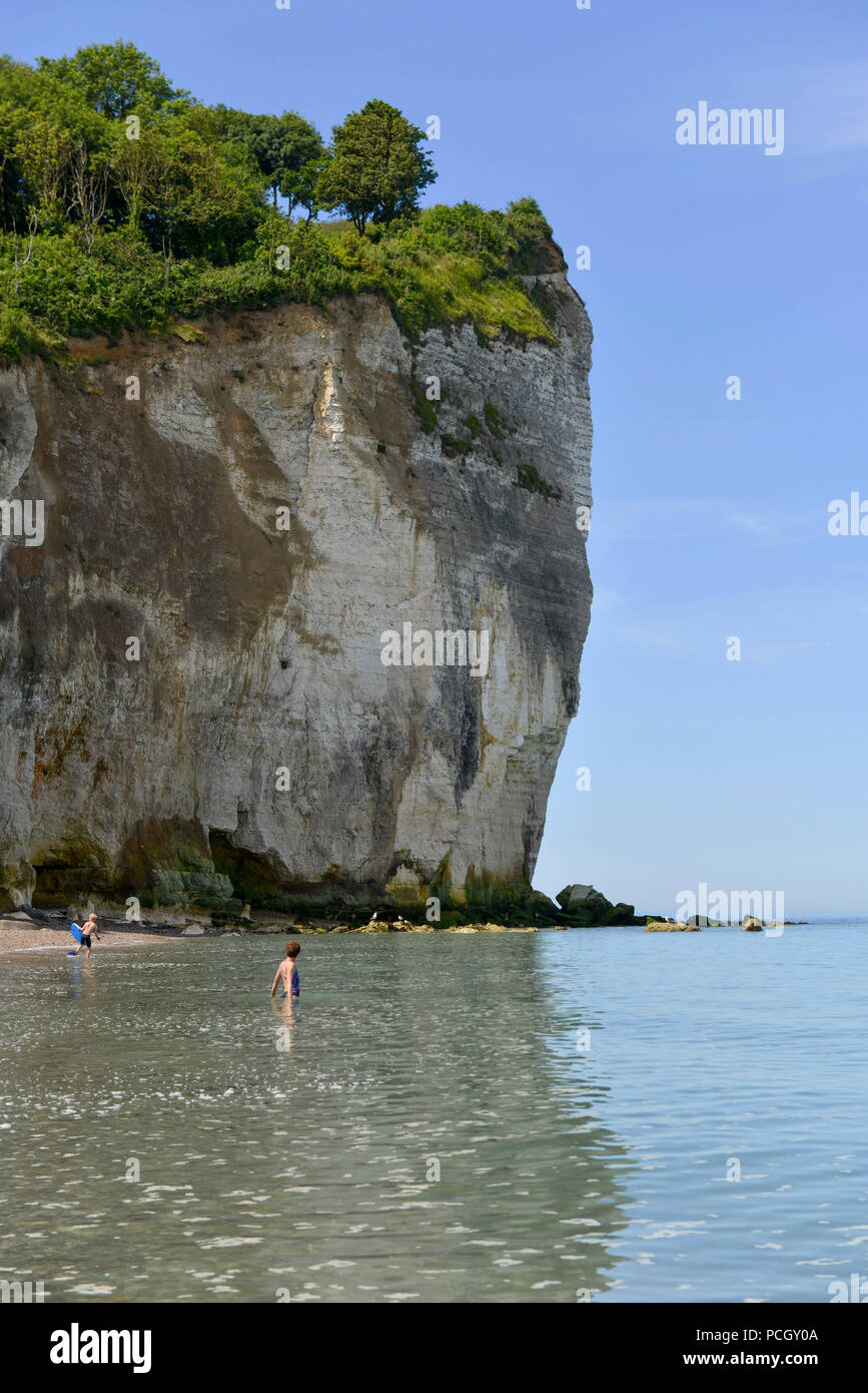 Saint-Pierre-en-Port (Normandia Francia settentrionale). Cote d'Alabastro (costa di alabastro). Chalk scogliere e spiaggia di ghiaia lungo il mare.Caption locale Foto Stock