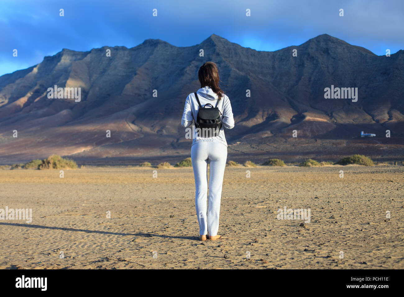 Vista posteriore del viaggiatore donna godere montagne panoramiche Foto Stock