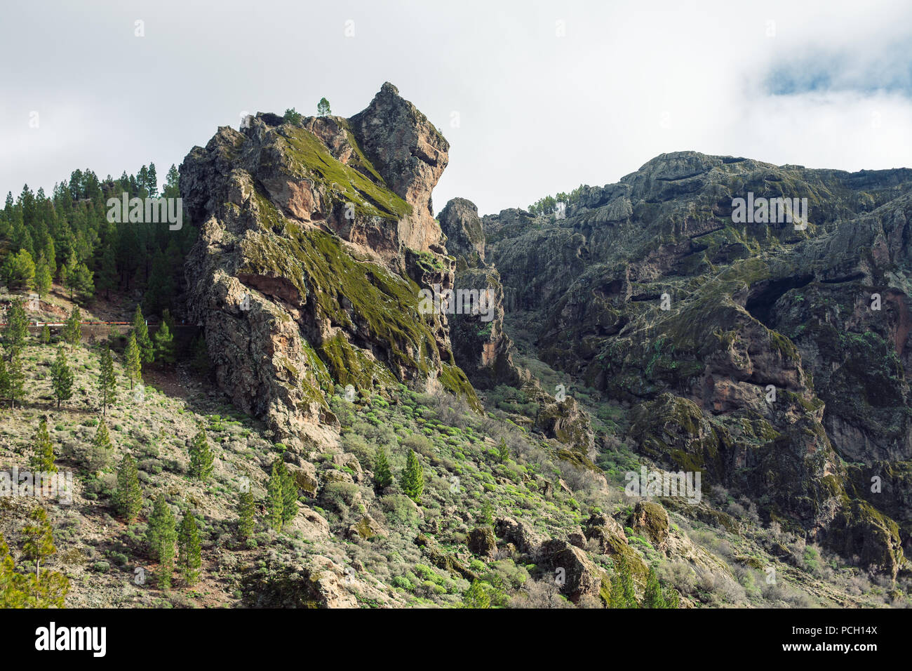 Lo splendido paesaggio di Gran Canaria natura, Isole canarie, Spagna. Sullo sfondo della natura Foto Stock