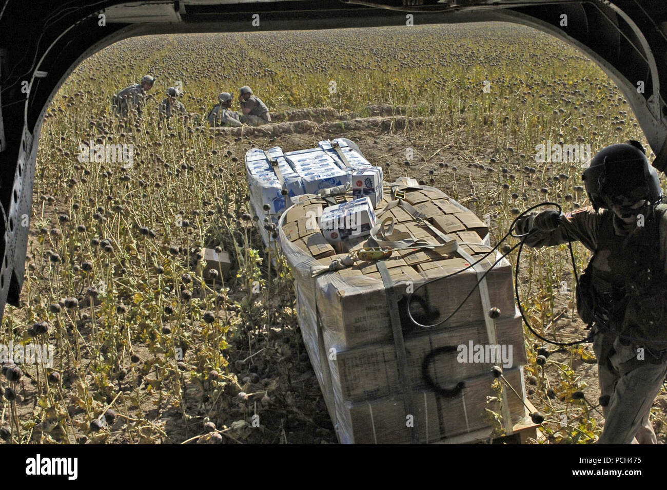 Un U.S. Soldato di offload di pallet di bottiglie di acqua, posta e MREs dal retro di un CH-47 elicottero Chinook su un campo di papavero in un area esclusive dell'Afghanistan Maggio 8, 2007, durante una missione di rimbocco in Command-South regionale. Foto Stock