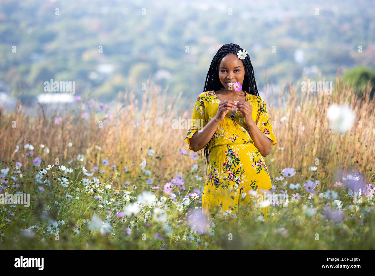 Giovane donna africana tenendo un fiore in un campo Foto Stock