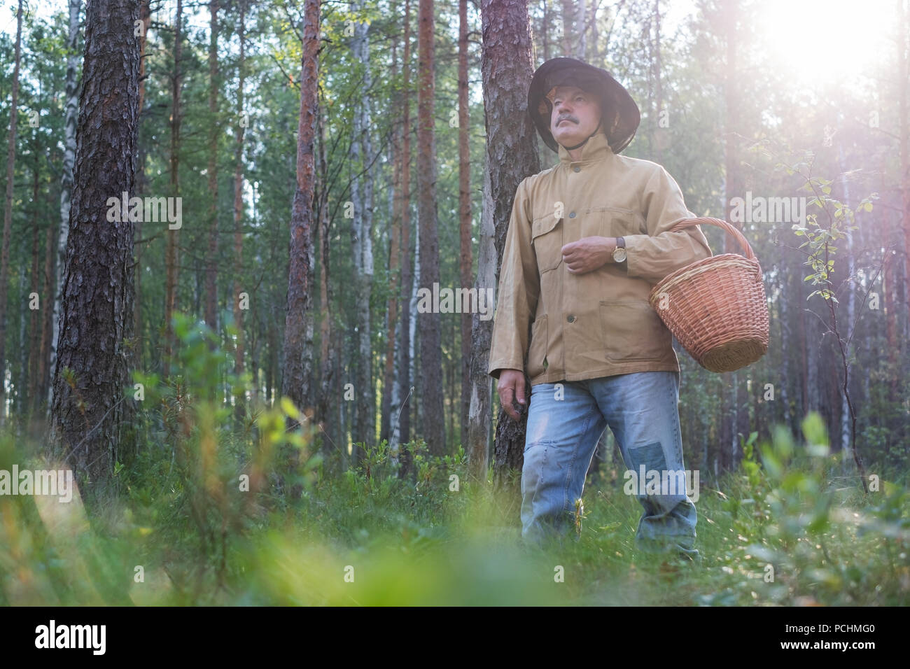 Uomo maturo picking camminare con il cestello nella foresta. Egli si sta guardando attorno godendo l'aria fresca del legno. Foto Stock
