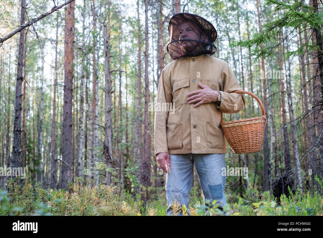 Uomo maturo picking camminare con il cestello nella foresta. Egli si sta guardando attorno godendo l'aria fresca del legno. Foto Stock