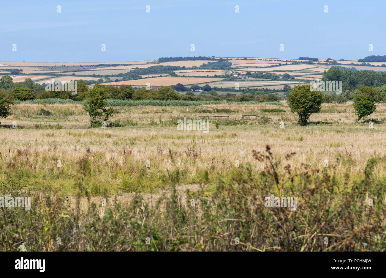 Colline e campi del South Downs nel Sud dell Inghilterra nel luglio 2018 canicola estiva, mostrando di erba marrone a causa della mancanza di pioggia in West Sussex, Regno Unito. Foto Stock
