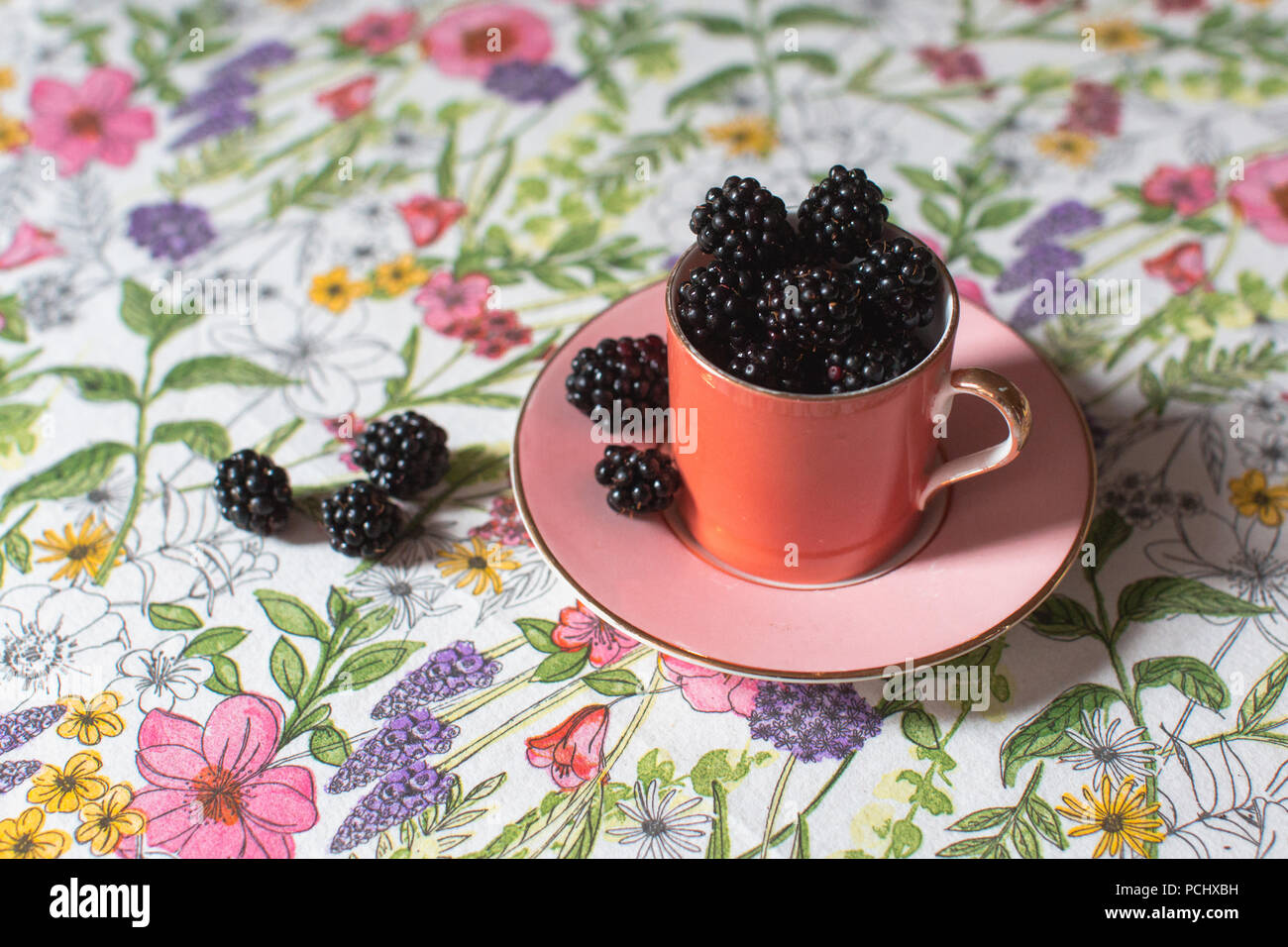 Tarda estate (autunno) more, maturo e pronto da mangiare, raccolti (foraged) dai boschi locali Foto Stock