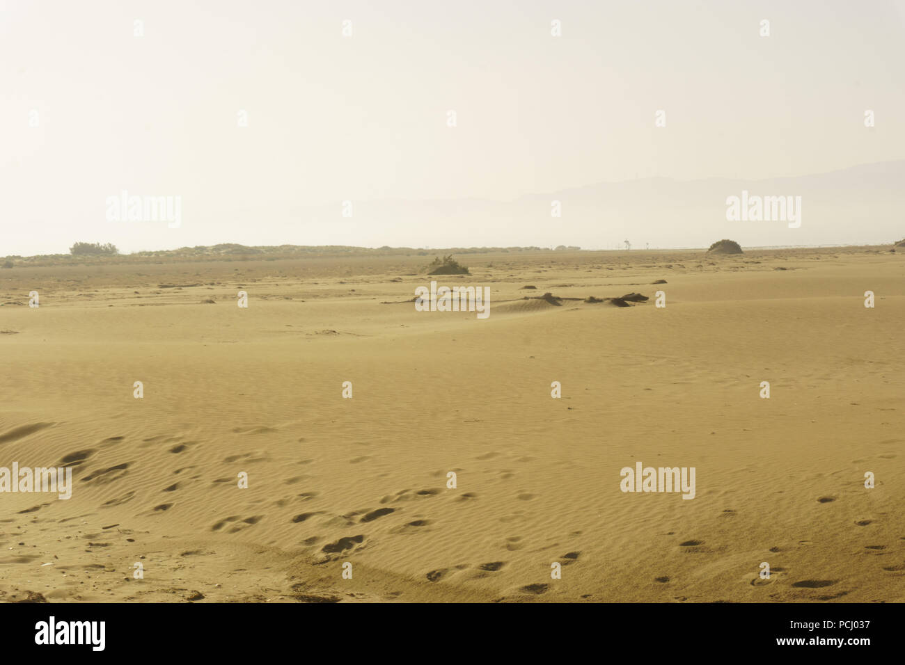 Deserto di sabbia prima di raggiungere la spiaggia Foto Stock