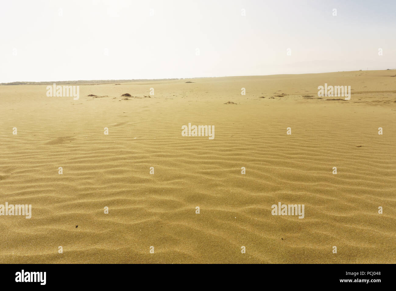 Deserto di sabbia prima di raggiungere la spiaggia Foto Stock