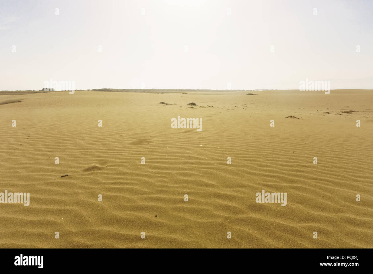 Deserto di sabbia prima di raggiungere la spiaggia Foto Stock