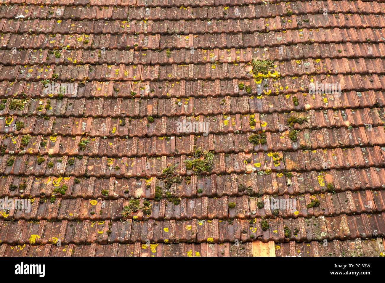 Un grande tetto del granaio di rustico Francese di piastrelle. Completa la costruzione del telaio texture di sfondo i dettagli. Foto Stock