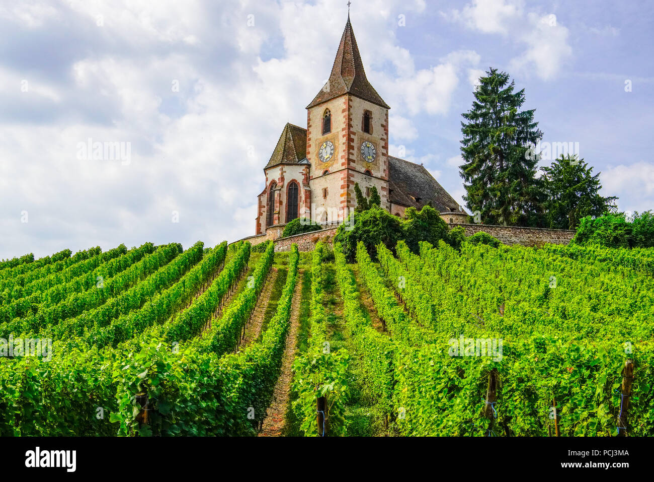 Chiesa in Hunawihr circondata da una cinta muraria e vigneti, Alsazia, Francia. Foto Stock