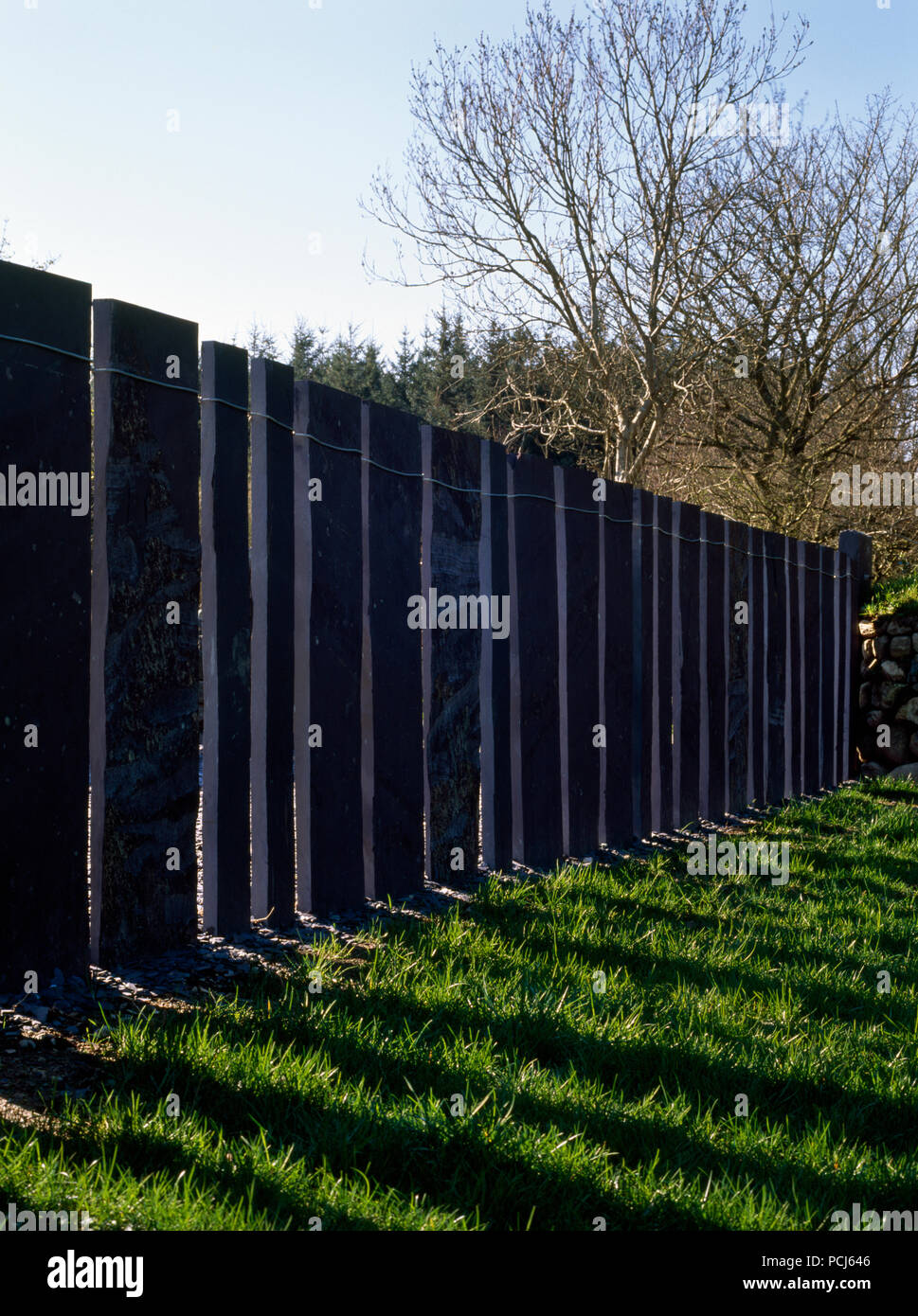 Un moderno recinto di ardesia di heather blue di lastre da Penrhyn Quarry, Bethesda, in un bosco giardino vicino a Caernarfon, Wales, Regno Unito. Foto Stock
