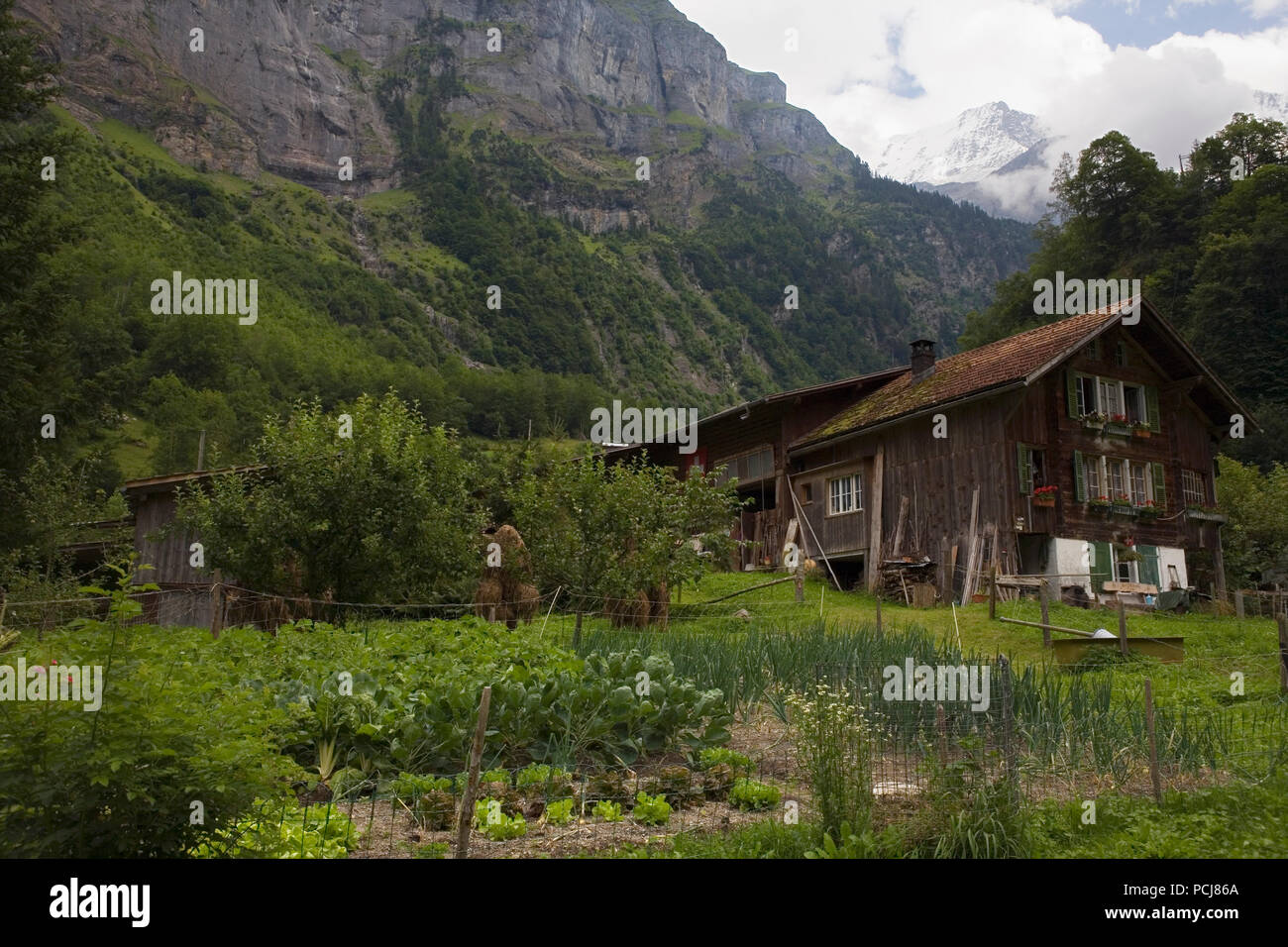 Antico casale di legno con un molto produttivo orto nella spettacolare alta valle di Lauterbrunnen , Oberland Bernese, Svizzera Foto Stock