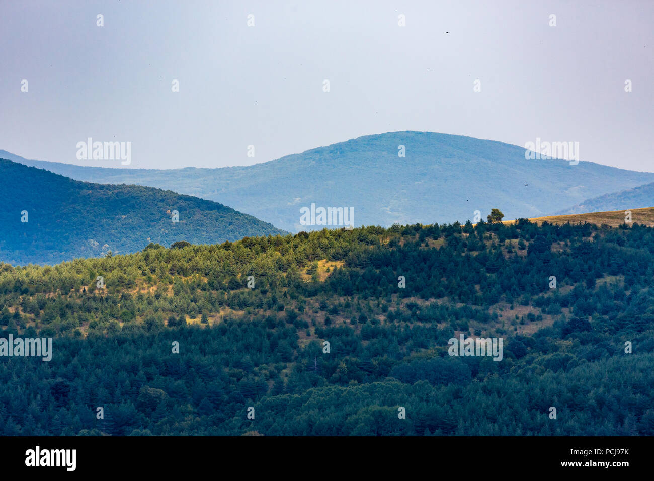 Paesaggio orizzontale con splendidi e verdi colline del Monte Vitosha, Sofia Città Regione, Bulgaria, foto scattata vicino al villaggio di Bistritza, giornata estiva con haze Foto Stock