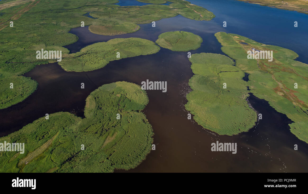 Vista aerea del Delta del Danubio, Romania, Europa Foto Stock