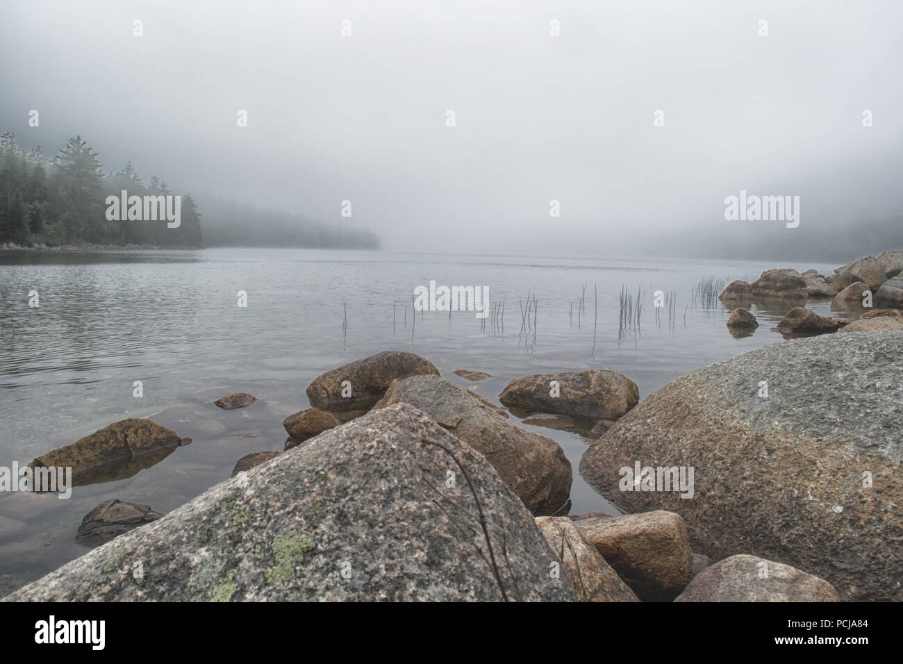 Velatura su Jordan Pond In Acadia Foto Stock