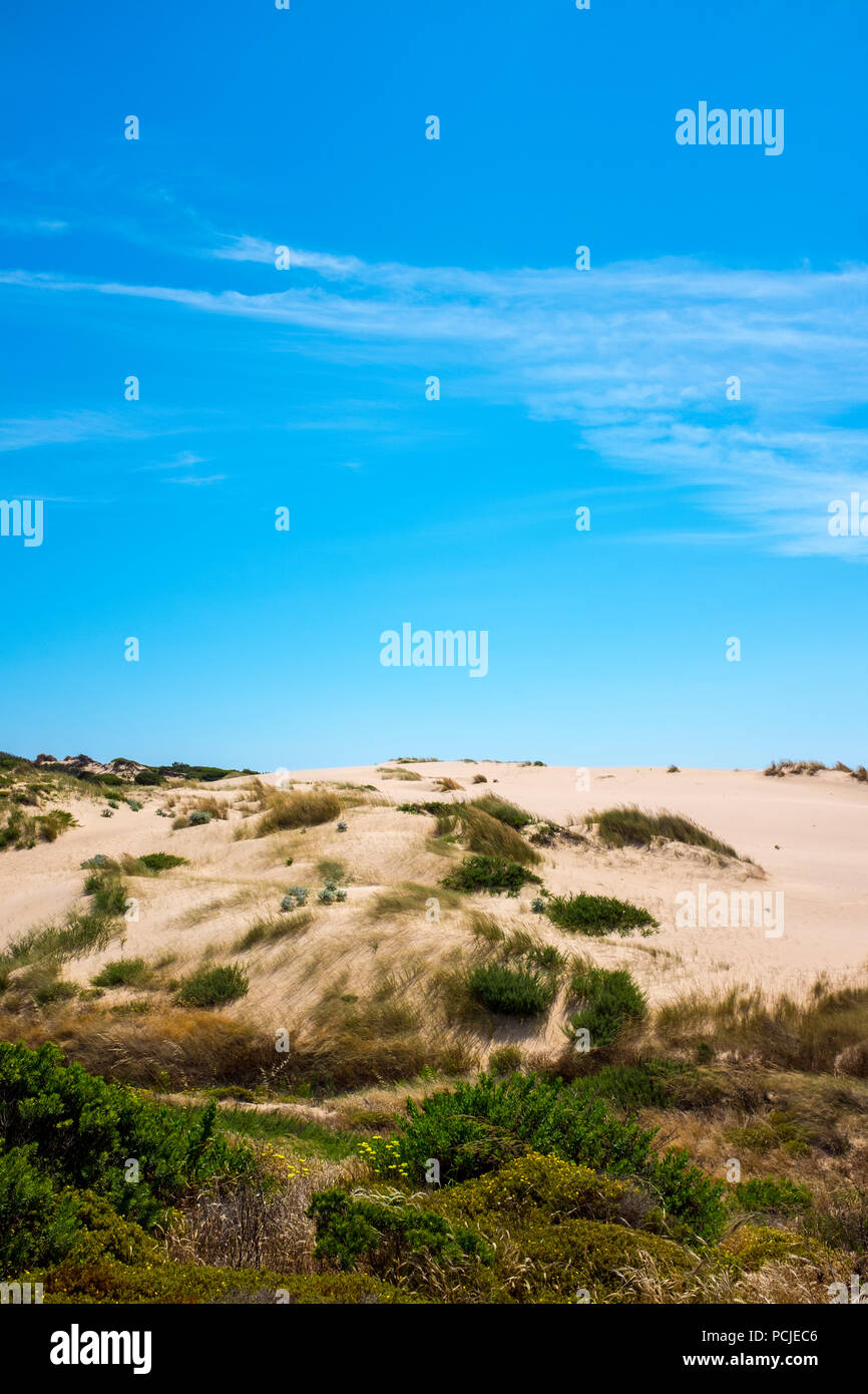 Duna Da Cresmina, dune di sabbia, Cascais, Lisbona, Portogallo, parte dell'Guincho-Cresmina sistema di dune. Foto Stock