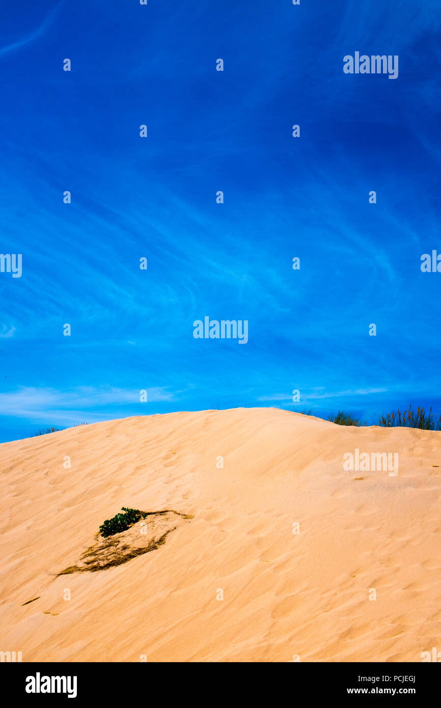 Duna Da Cresmina, dune di sabbia, Cascais, Lisbona, Portogallo, parte dell'Guincho-Cresmina sistema di dune. Foto Stock