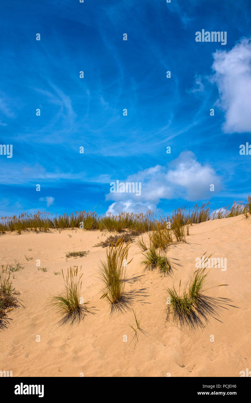 Duna Da Cresmina, dune di sabbia, Cascais, Lisbona, Portogallo, parte dell'Guincho-Cresmina sistema di dune. Foto Stock
