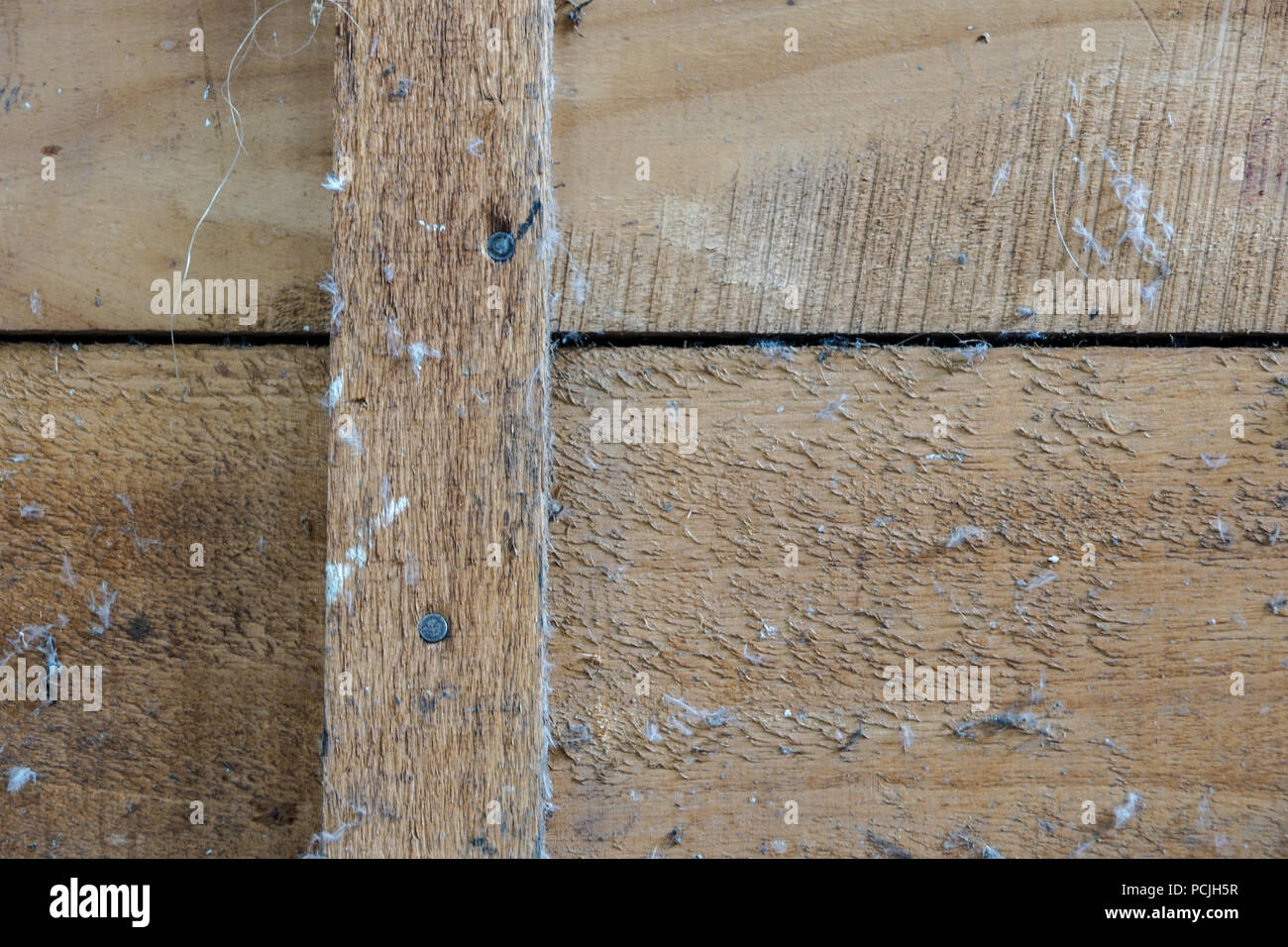 Portale in legno. Legno pannello dettagli. Foto Stock