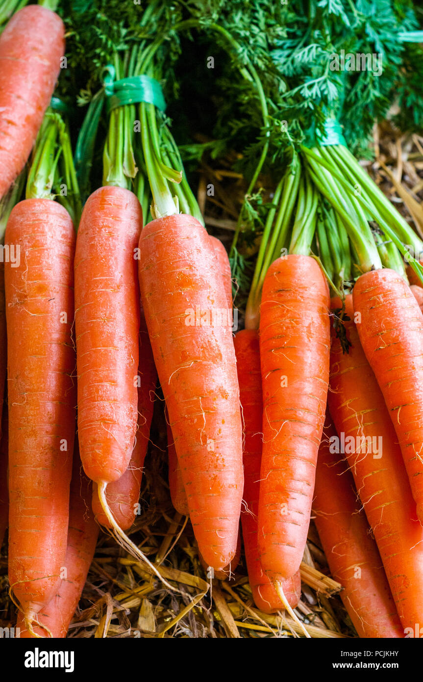 Grappoli Di Carote Fresche Nel Mercato Allaperto - Fotografie stock e altre  immagini di Carota - Carota, Cibo biologico, Arancione - iStock