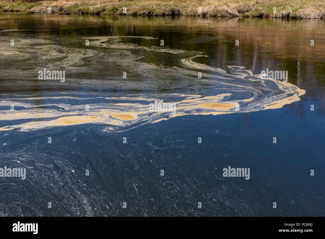 Junction Creek in primavera con volute di schiuma e floating polline, maggiore Sudbury, Ontario, Canada Foto Stock