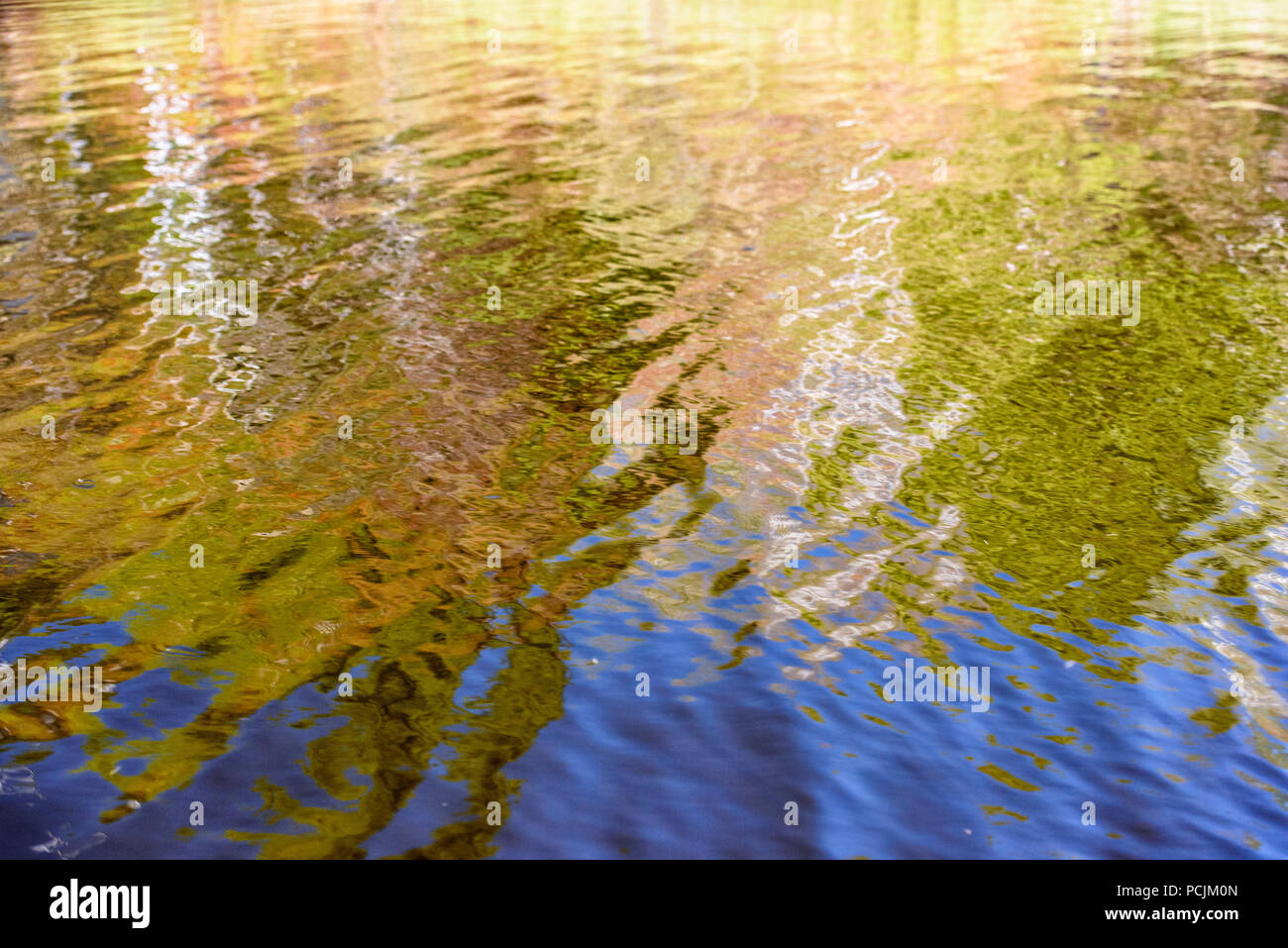 La molla riflessioni nel lago a gomito, Wanup, Ontario, Canada Foto Stock