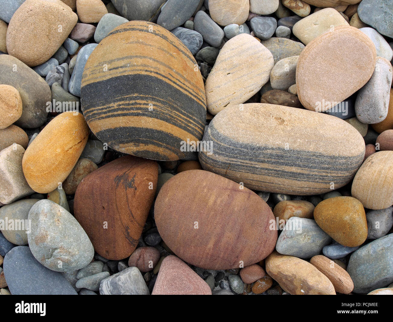 Spiaggia di ciottoli, Stronsay, Orkney Foto Stock