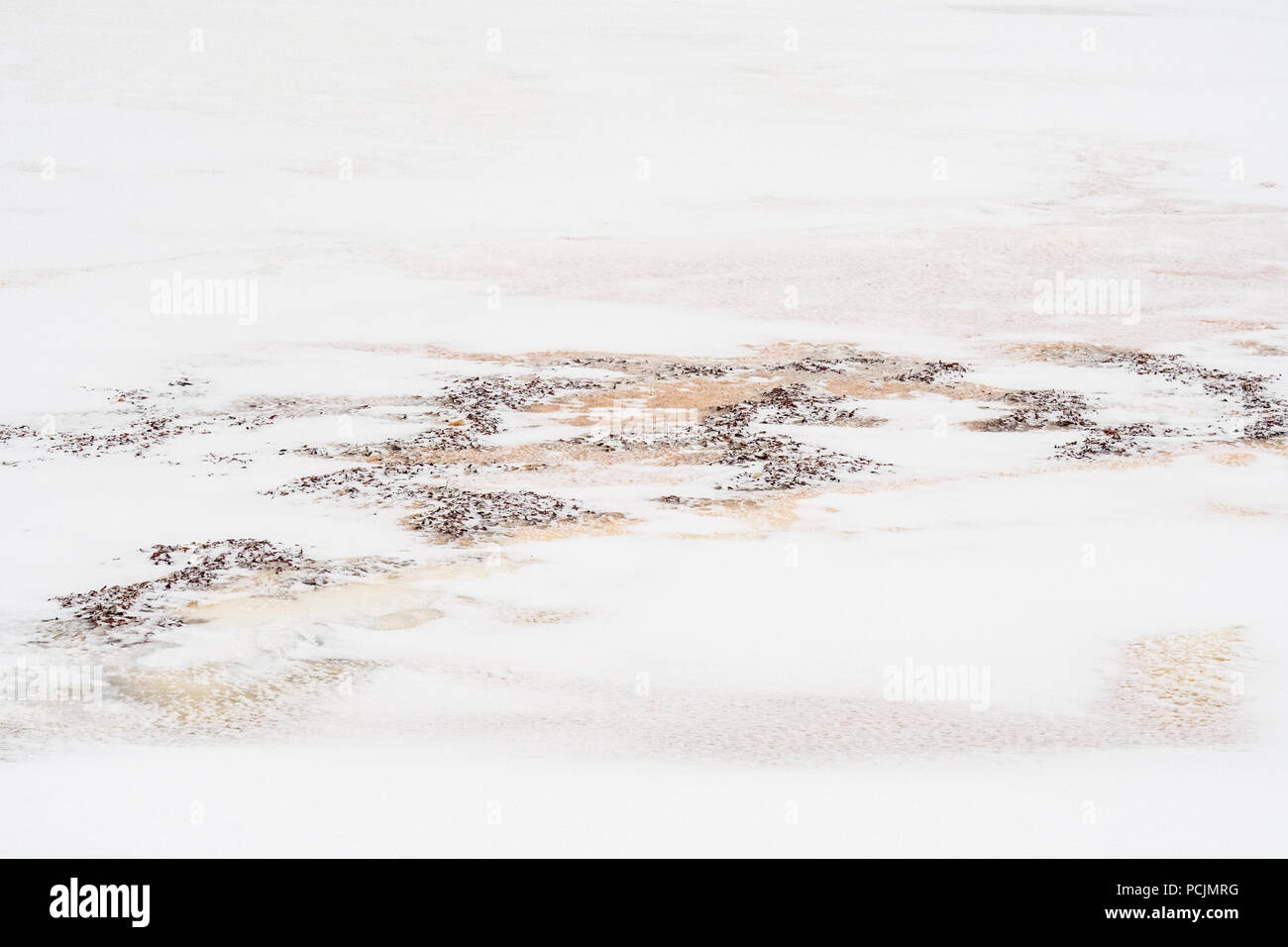Baia di Hudson costa al congelamento, Wapusk National Park, Cape Churchill, Manitoba, Canada Foto Stock