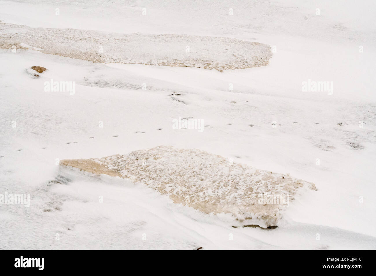 Baia di Hudson costa al congelamento, Wapusk National Park, Cape Churchill, Manitoba, Canada Foto Stock