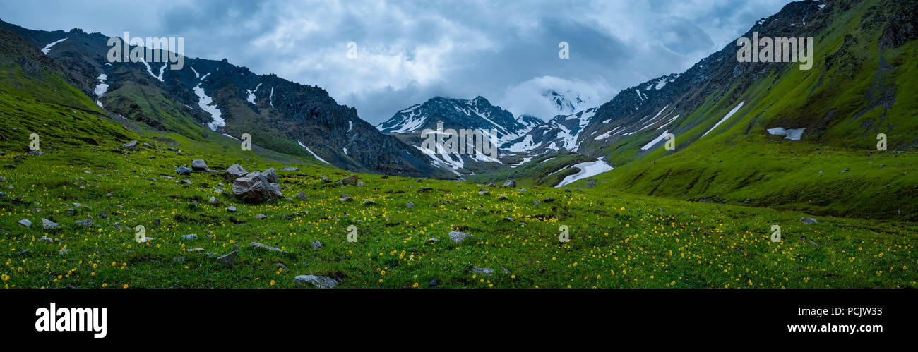 Panorama con picchi, ghiacciaio e prati in fiore Foto Stock