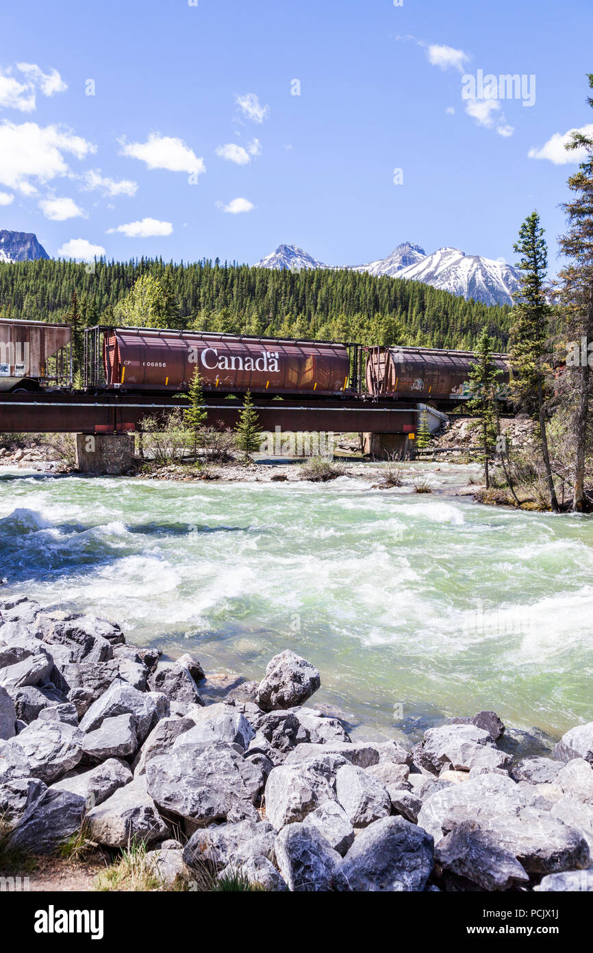 Un treno merci della Canadian Pacific Railway attraversando il Fiume Bow nelle montagne rocciose presso la città di Lake Louise, Alberta, Canada Foto Stock