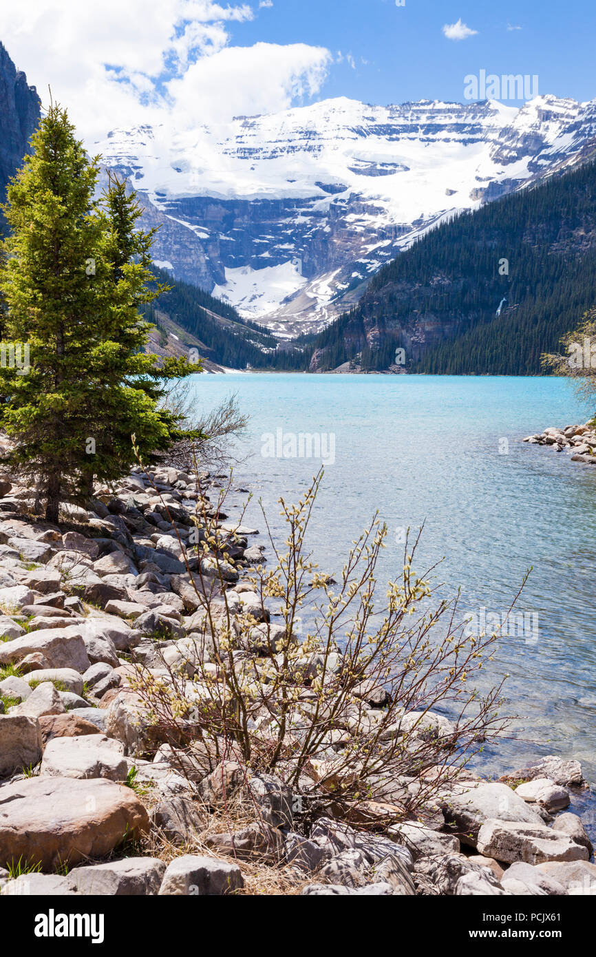 Il lago Louise nelle Montagne Rocciose, Alberta, Canada Foto Stock