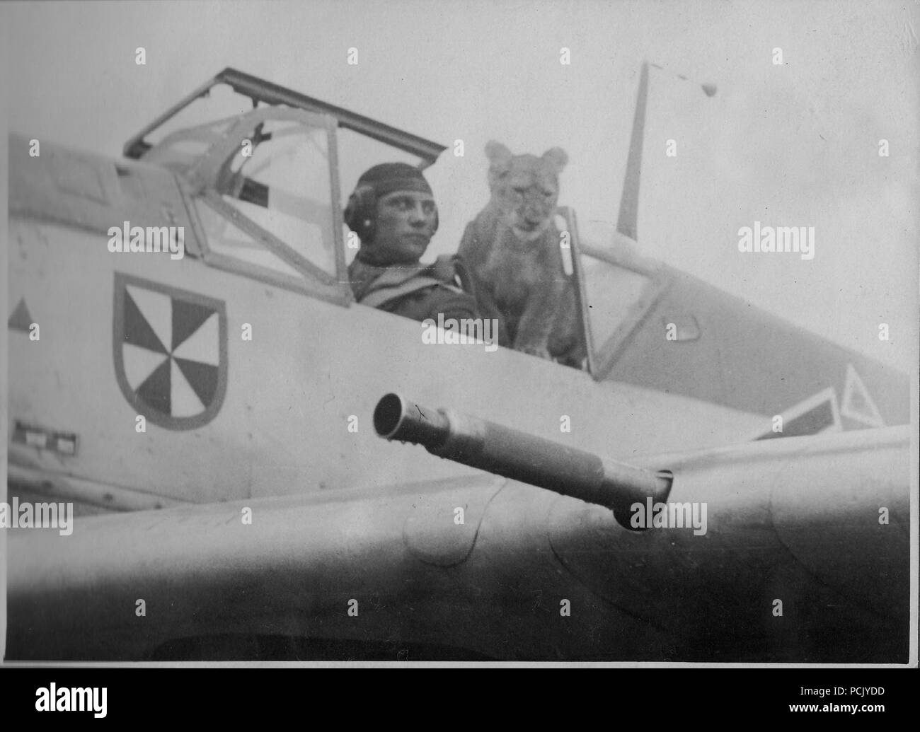 Immagine da un album di foto relative a II. Gruppe, Jagdgeschwader 3: Oberleutnant Franz von Werra, Gruppen aiutante di II. Gruppe, Jagdgeschwader 3, pone nell'abitacolo della sua BF109E con la II./JG 3 LION CUB mascotte 'Simba', durante l'estate del 1940. Foto Stock