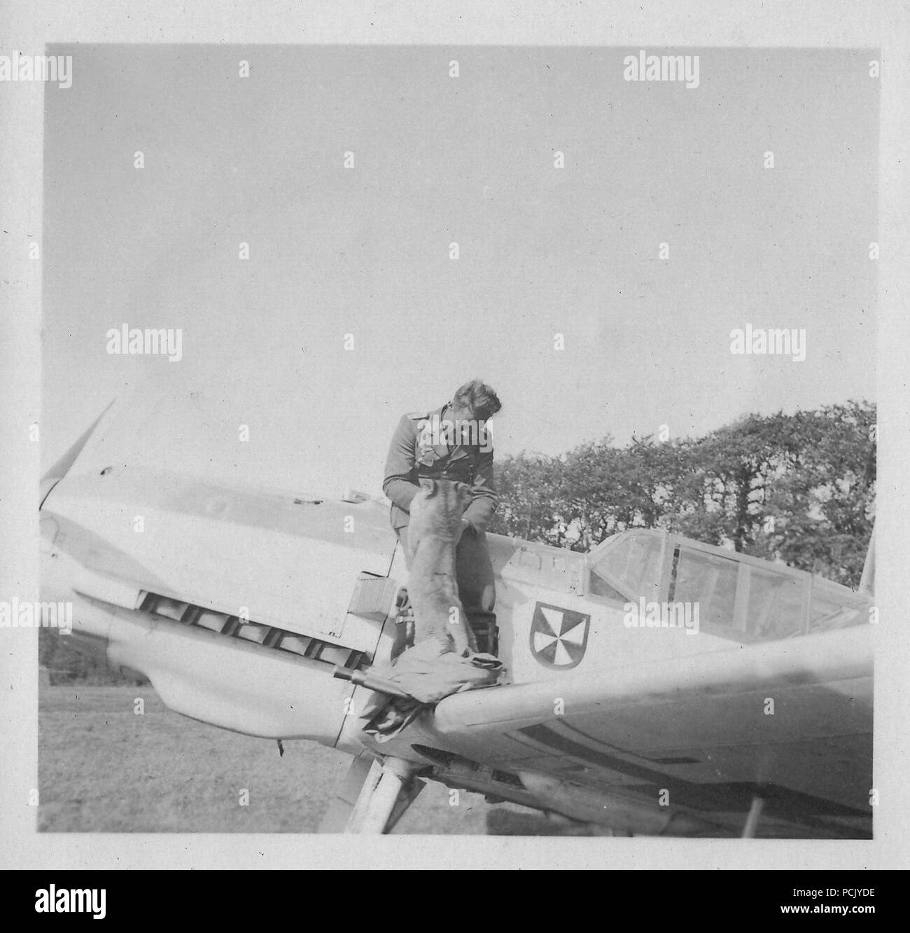 Immagine da un album di foto relative a II. Gruppe, Jagdgeschwader 3: Oberleutnant Franz von Werra, Gruppen aiutante di II. Gruppe, Jagdgeschwader 3, pone sul parafango del suo BF109E con la II./JG 3 LION CUB mascotte 'Simba', durante l'estate del 1940. Foto Stock
