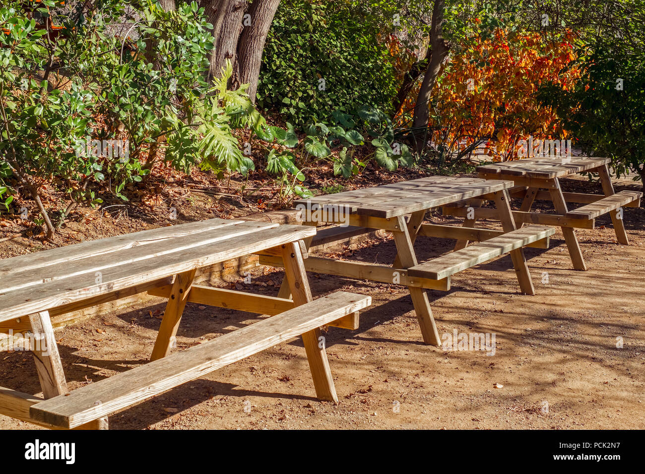 Tavolo da picnic in rurale foreste boscose. Foto Stock