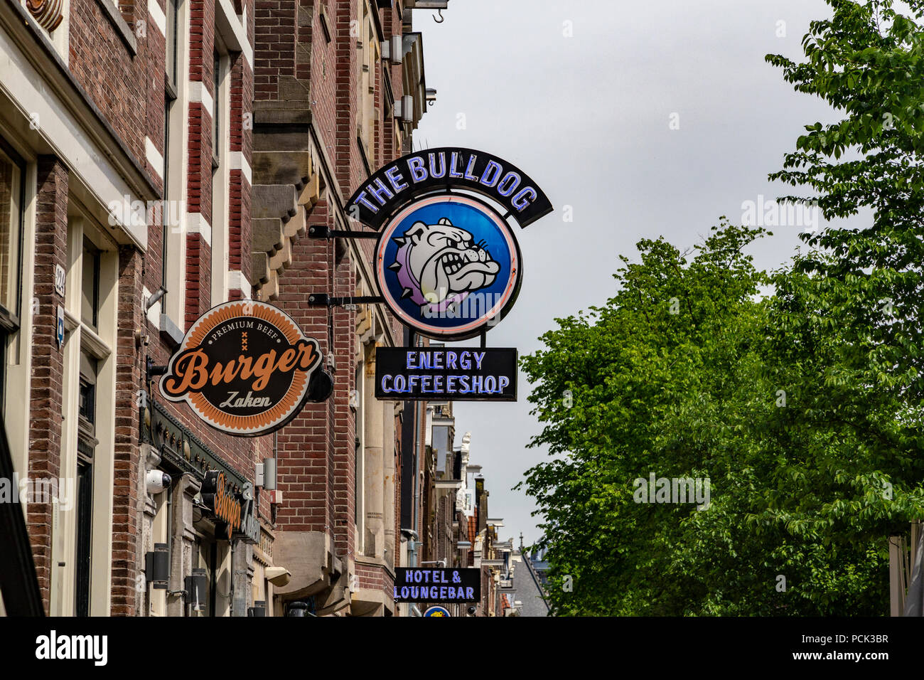 La Bulldog coffee shop in Amsterdam, Paesi Bassi Foto Stock