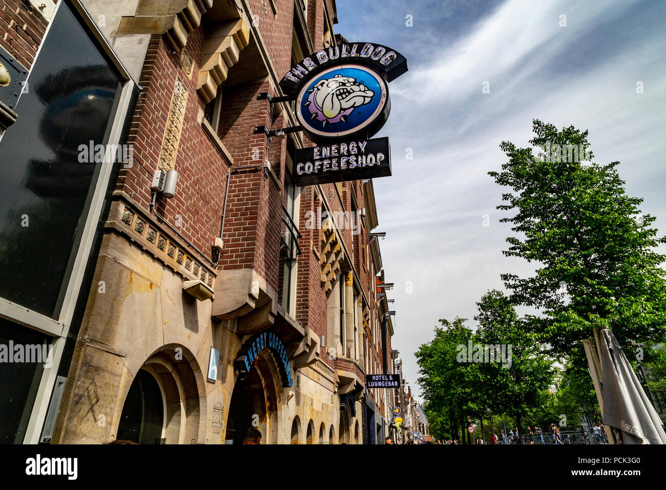 La Bulldog coffee shop in Amsterdam, Paesi Bassi Foto Stock