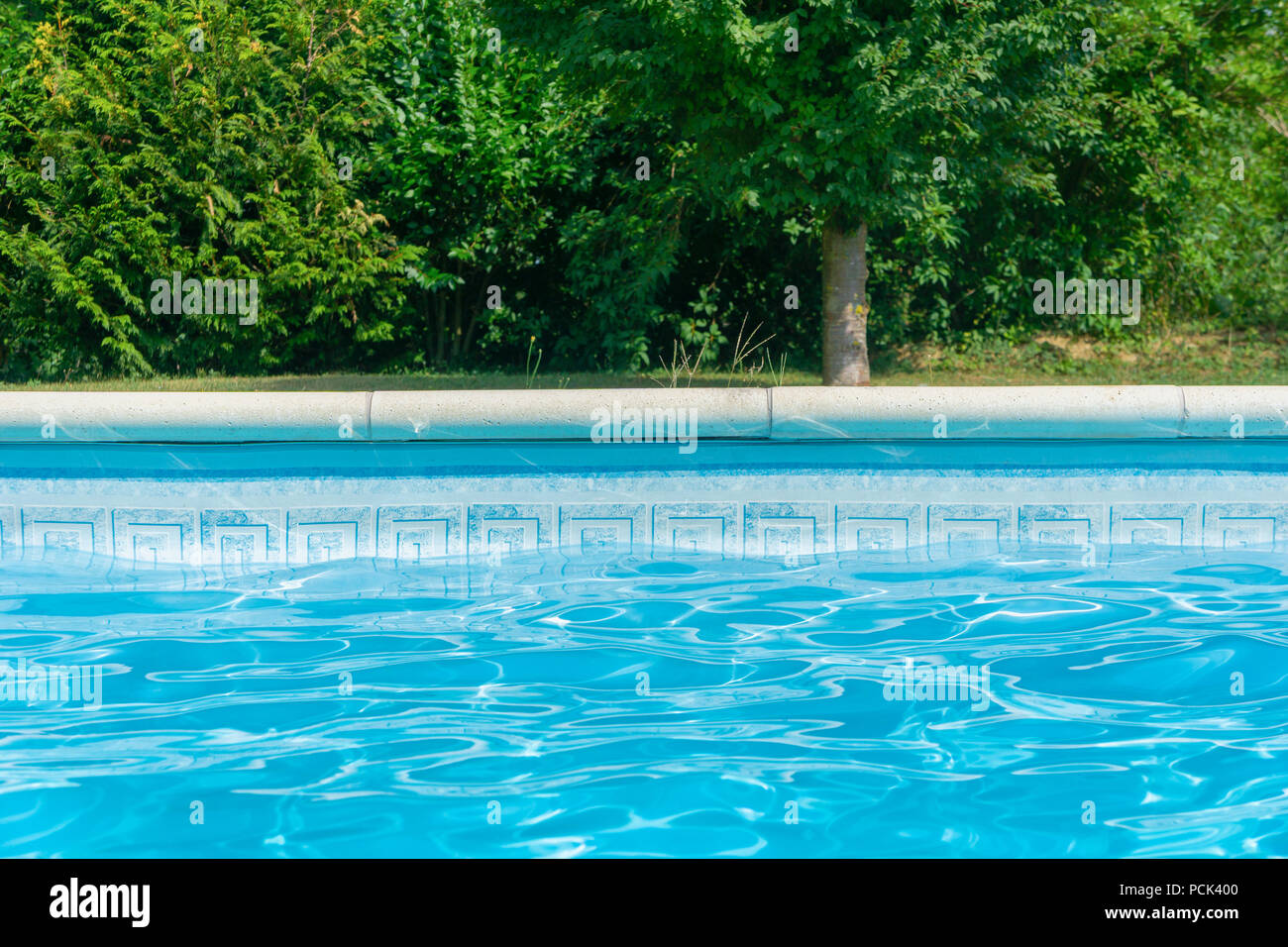 Blu piscina con bordo e vegetazione e piante in background. Sullo sfondo, la carta da parati. L'estate. Foto Stock