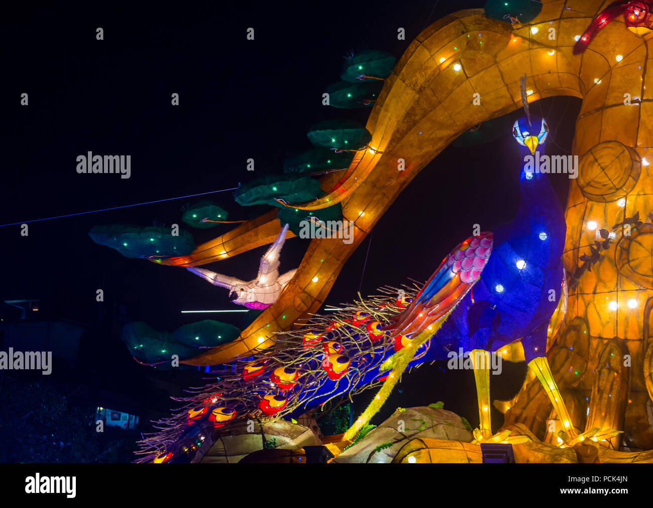 Decorazioni cinesi del nuovo anno nel tempio di Longshan a Taipei Taiwan Foto Stock