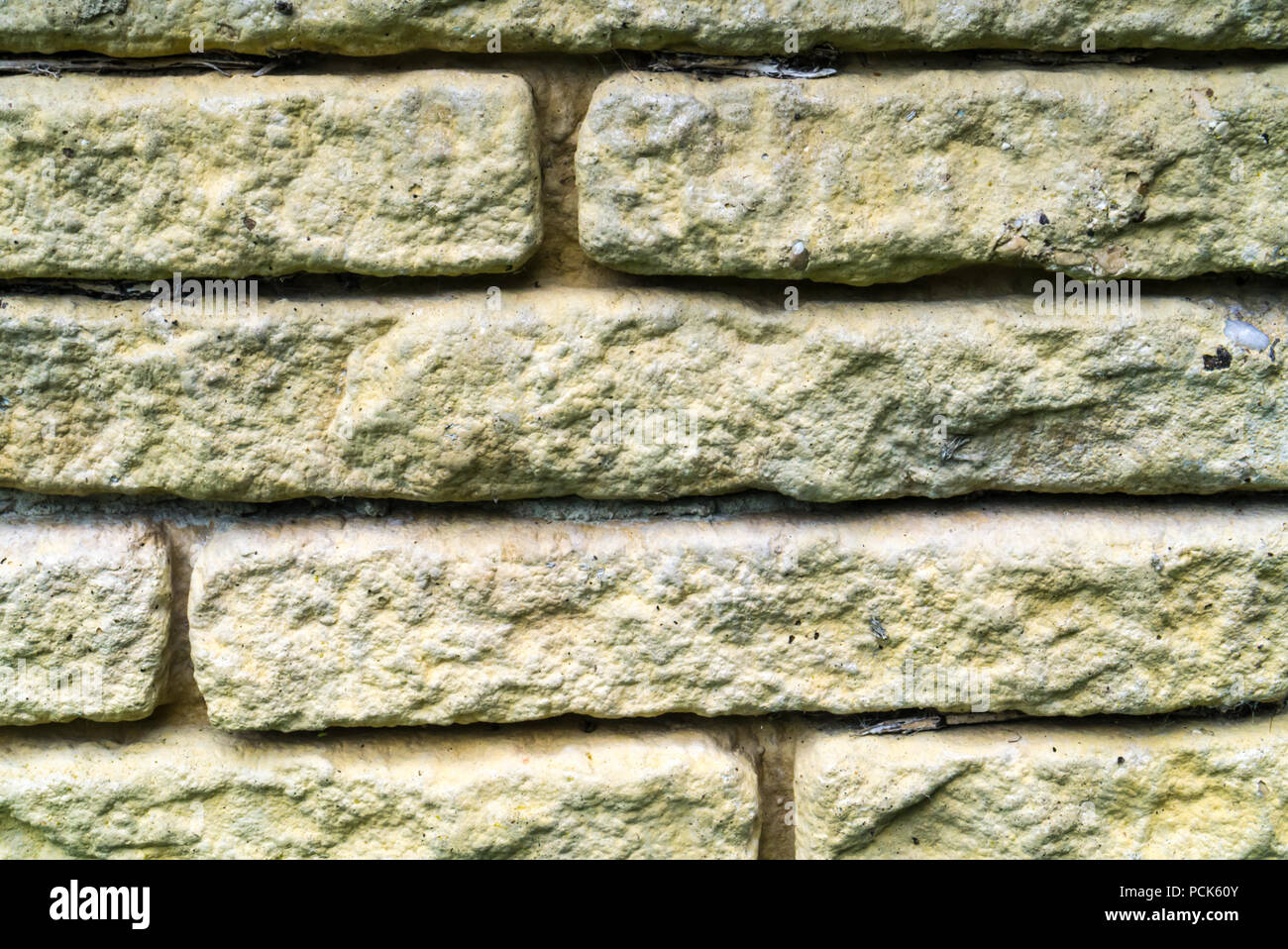 Sullo sfondo di una Pietra di mattoni della parete da giardino Foto Stock