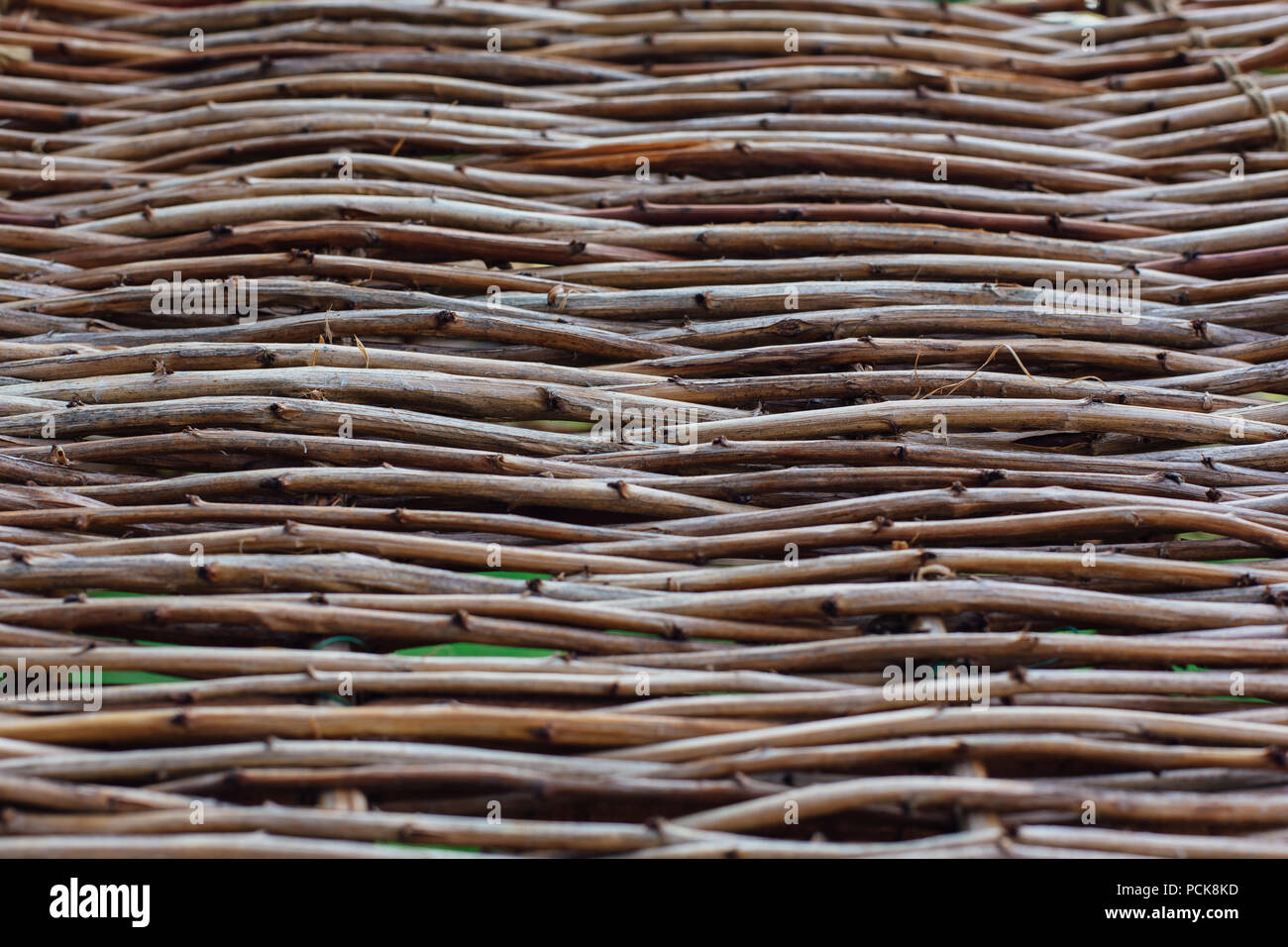 Vicino la recinzione di vimini in giardino. Foto Stock