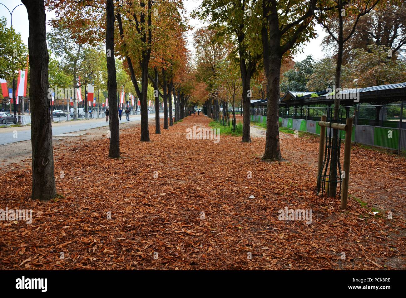 Champs-Elysees Avenue Foto Stock