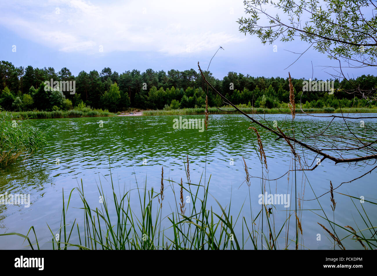 Paesaggio estivo con il lago. Un bel paesaggio del lago tedesco vacanza. Foto di viaggio serie. Foto Stock