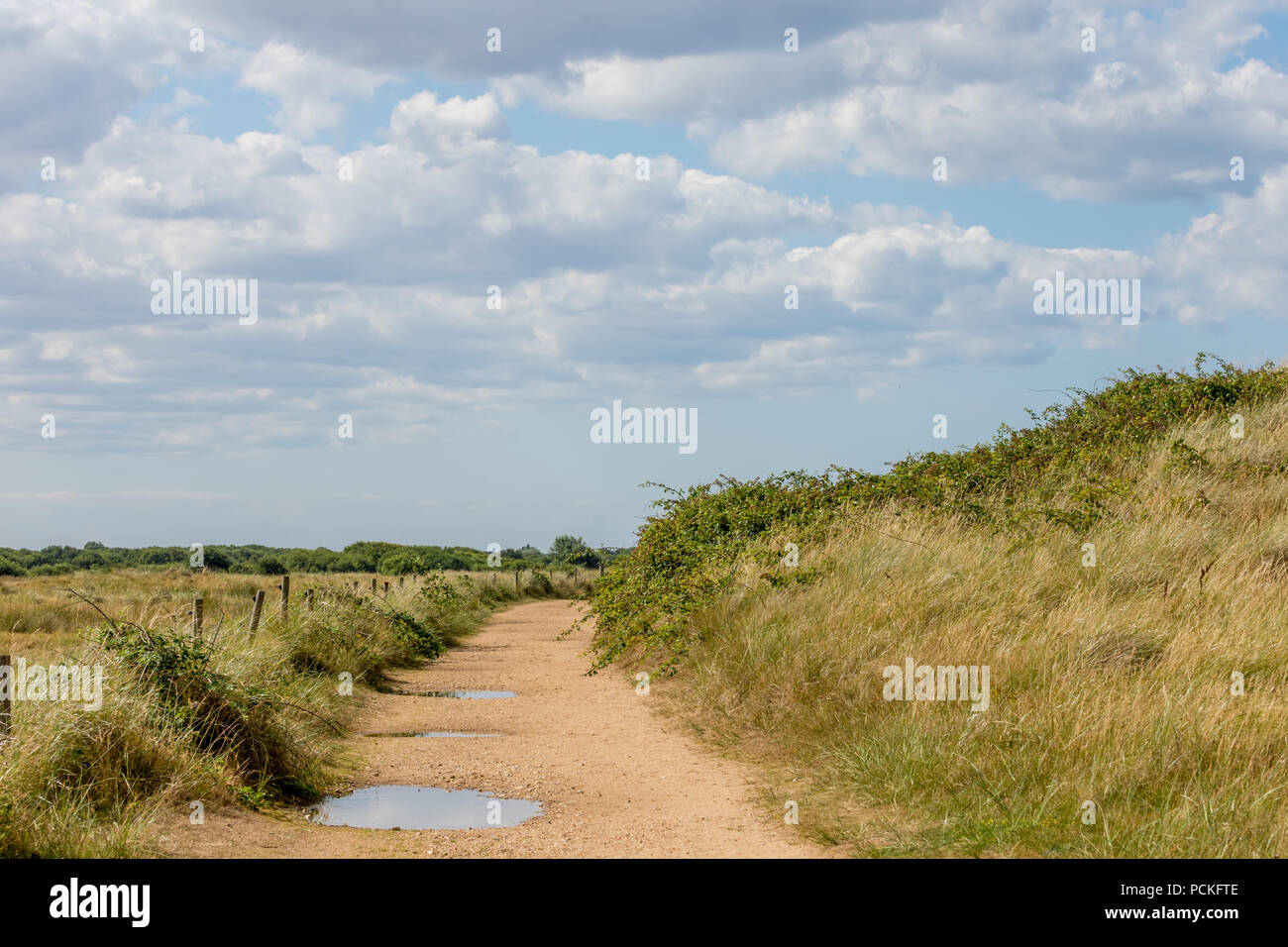 Norfolk paesaggio di brughiera, Big Sky con soffici nuvole, e il sentiero di sabbia con pozzanghere. Foto Stock