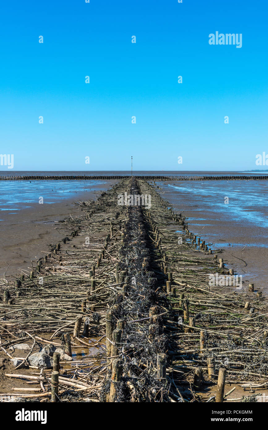 Groyne al Eidersperrwerk a bassa marea e cielo senza nuvole, Wesselburenerkoog, Schleswig-Holstein, Germania Foto Stock
