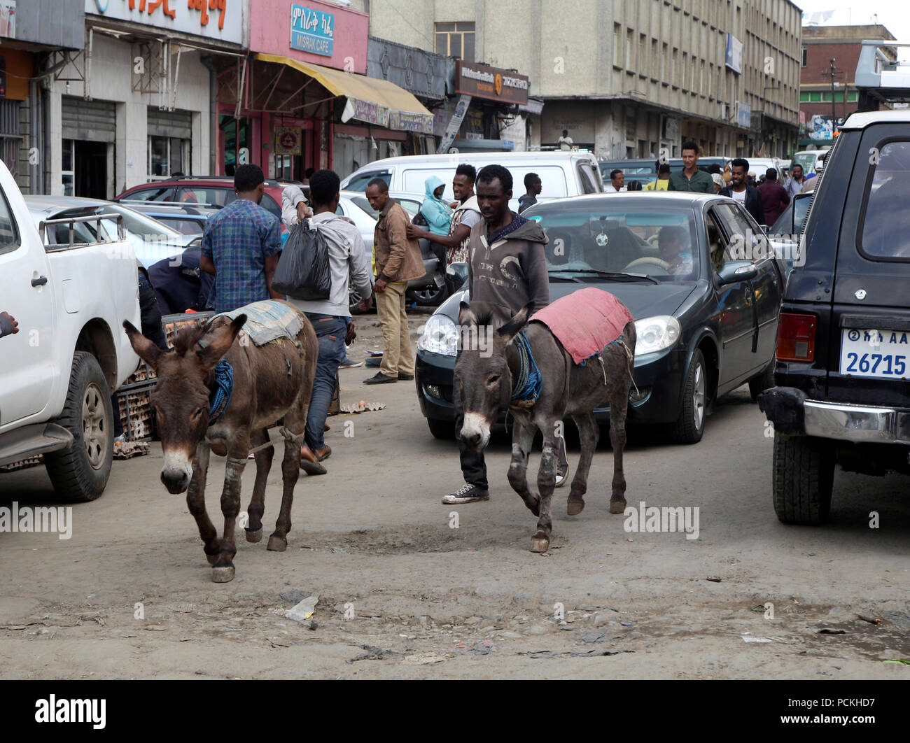 Due asini tra le vetture sulla cattiva strada, Addis Abeba, Etiopia Foto Stock