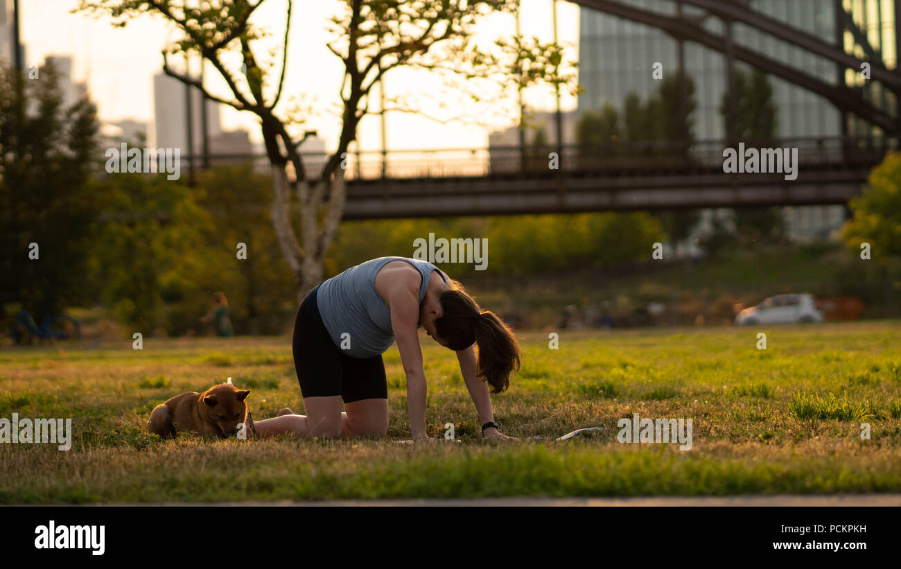 Bella sportiva montare yogini donna incinta le pratiche yoga asana bitilasana - posa di vacca gentle warm up per colonna vertebrale (chiamato anche cat-mucca posa) in un parco con un cane Foto Stock